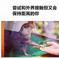 社恐的我想要交朋友