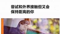 社恐的我想要交朋友