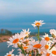 世界是自己的，与他人无关